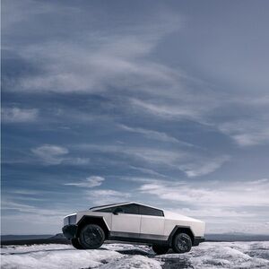 Meet your Posher, Cybertrucks